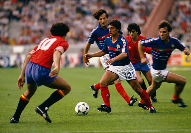 了自己在当 了自己在当